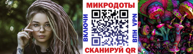 Галлюциногенные грибы прущие грибы где найти Бронницы